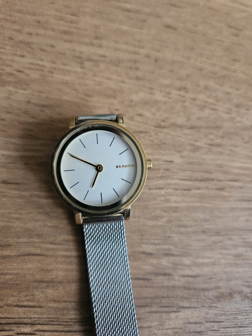 Skagen Gold-Tone Case Watch with White Dial and Silver Mesh Strap